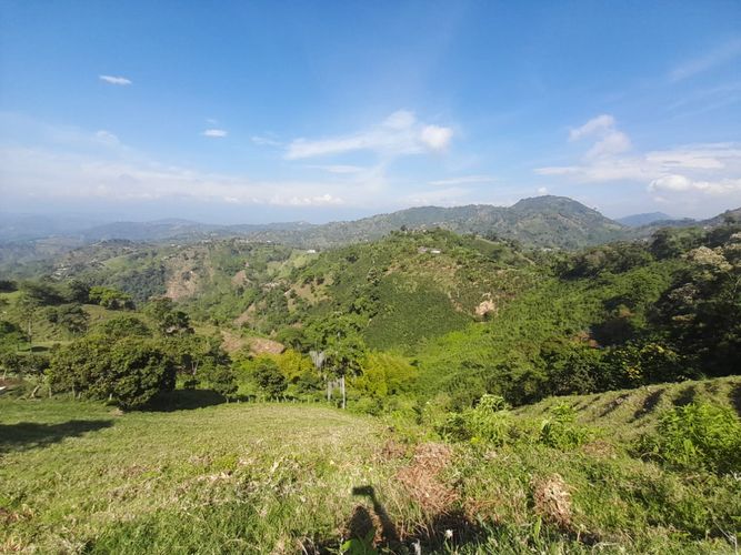 Lote en venta en La Aurora, Manizales · foto 4 de 24