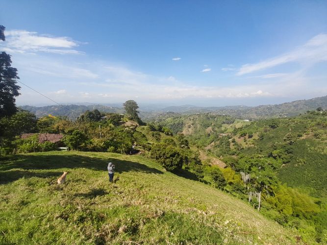 Lote en venta en La Aurora, Manizales · foto 5 de 24