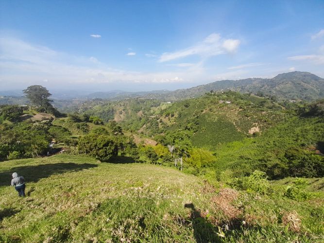 Lote en venta en La Aurora, Manizales · foto 6 de 24