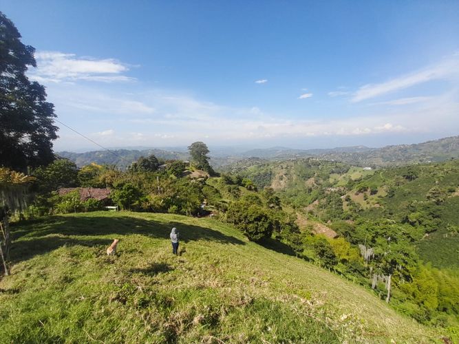 Lote en venta en La Aurora, Manizales · foto 7 de 24