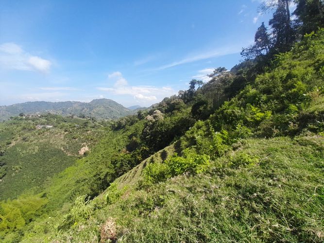 Lote en venta en La Aurora, Manizales · foto 8 de 24