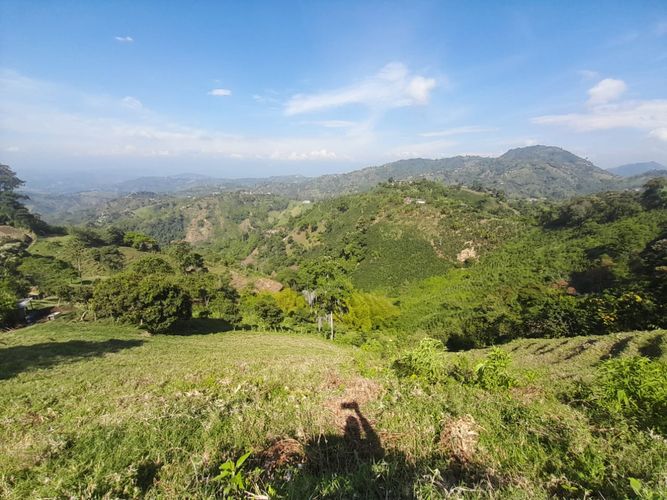 Lote en venta en La Aurora, Manizales · foto 9 de 24
