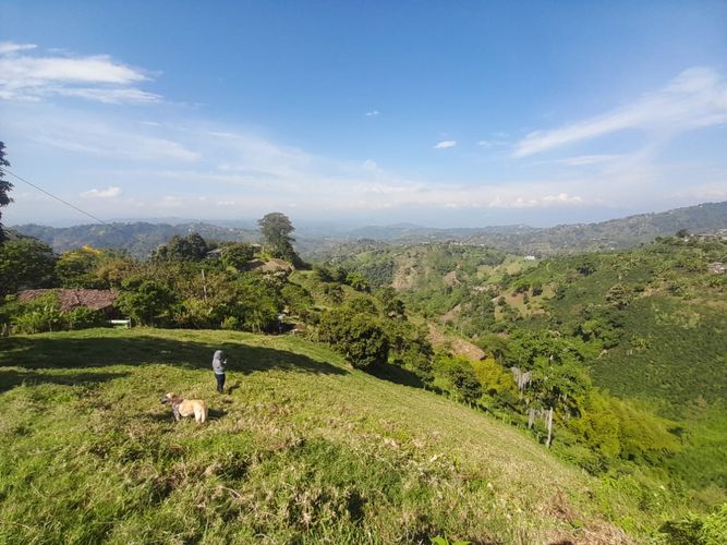 Lote en venta en La Aurora, Manizales · foto 10 de 24