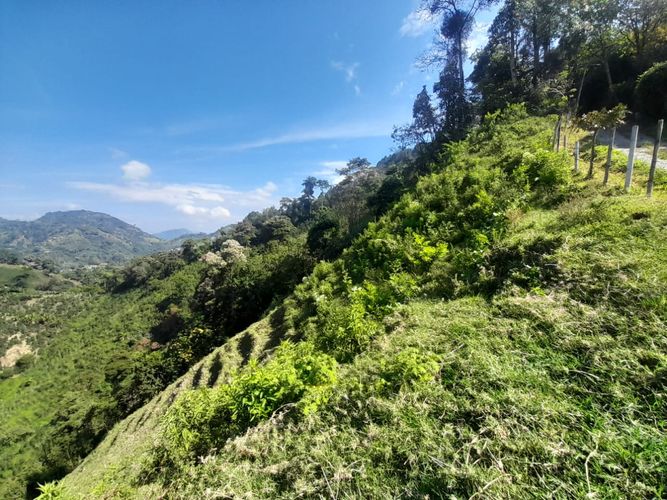 Lote en venta en La Aurora, Manizales · foto 11 de 24