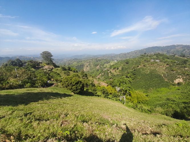 Lote en venta en La Aurora, Manizales · foto 13 de 24