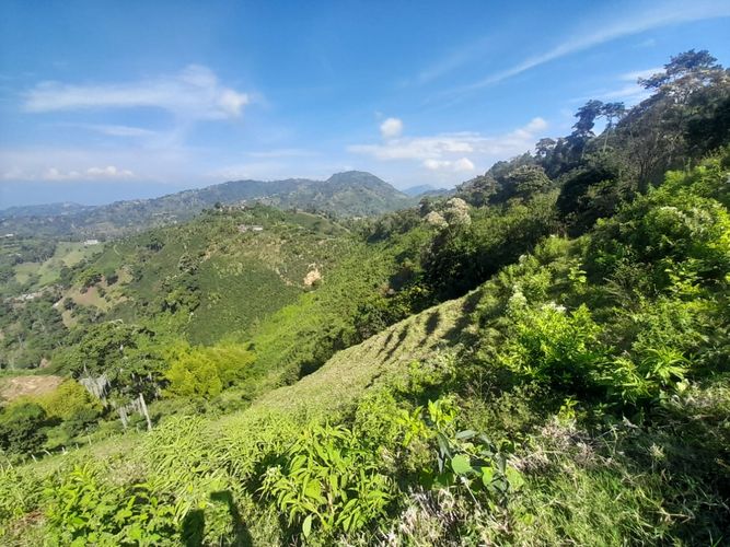 Lote en venta en La Aurora, Manizales · foto 15 de 24