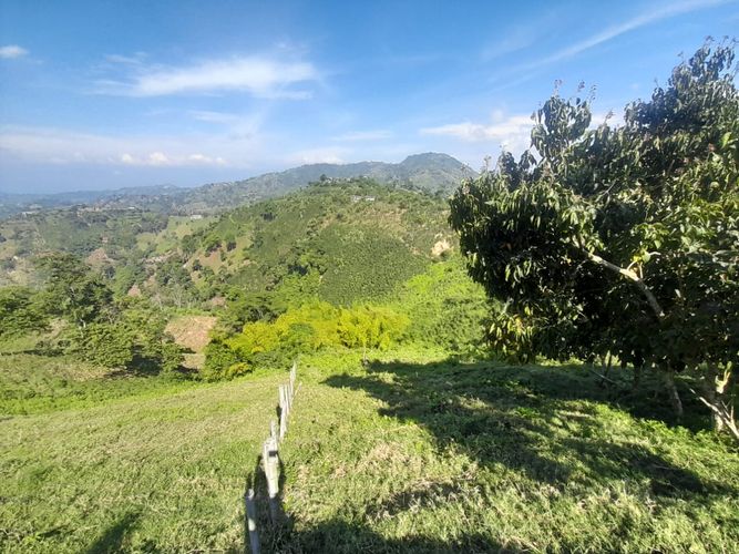 Lote en venta en La Aurora, Manizales · foto 18 de 24