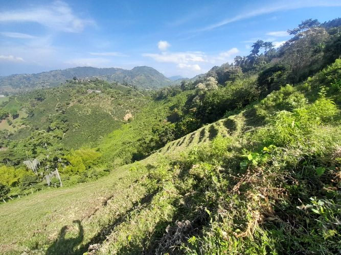 Lote en venta en La Aurora, Manizales · foto 19 de 24