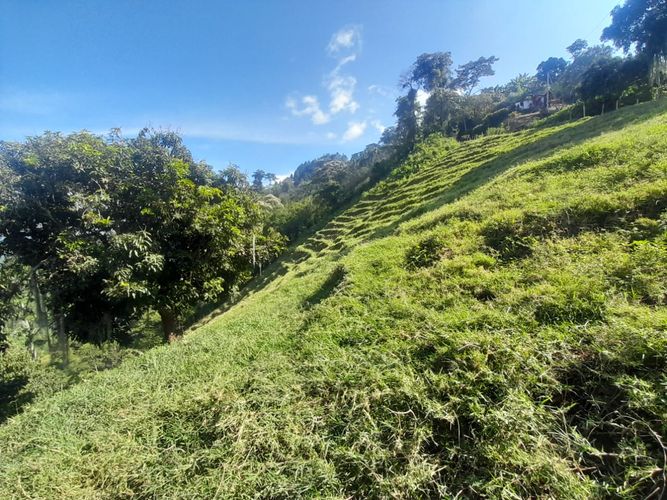 Lote en venta en La Aurora, Manizales · foto 23 de 24
