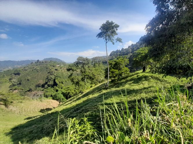 Lote en venta en La Aurora, Manizales · foto 24 de 24