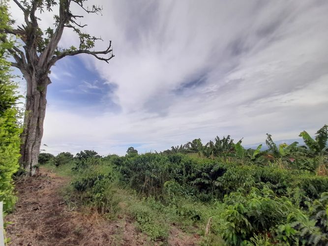 Lote en venta en Arabia, Pereira, 1200 m² · foto 4 de 23