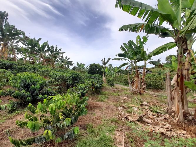 Lote en venta en Arabia, Pereira, 1200 m² · foto 15 de 23