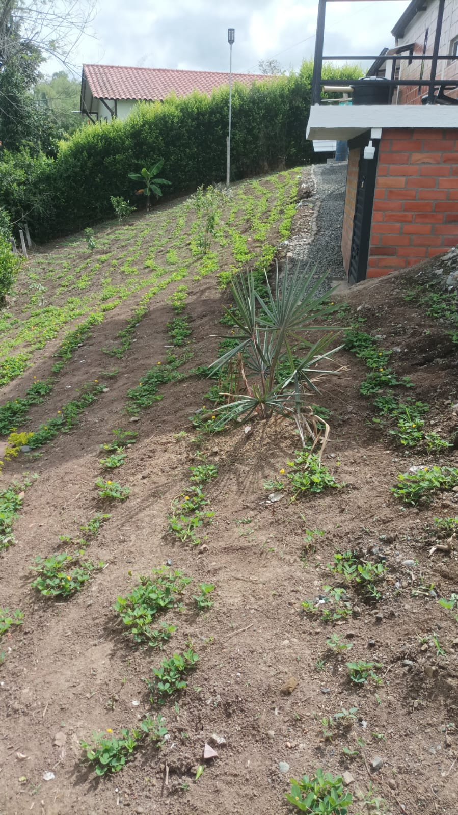Casa en venta en San Jose Sur, Pereira · foto 14 de 14