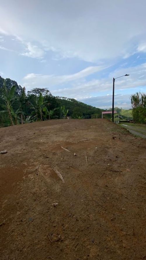 Lote en venta en Combia, Pereira, 2000 m² · foto 6 de 14