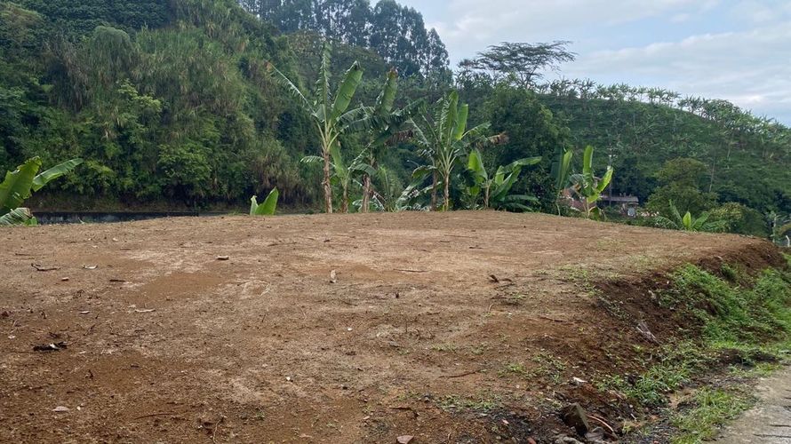 Lote en venta en Combia, Pereira, 2000 m² · foto 14 de 14