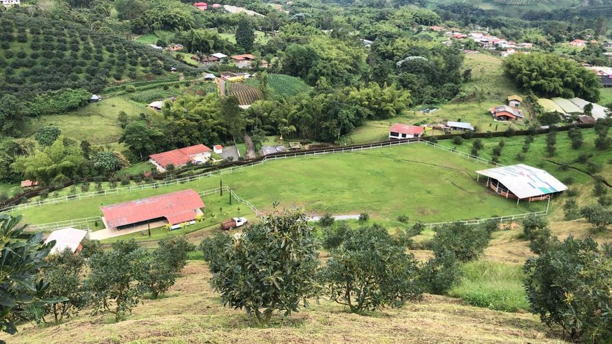 Finca en venta en La Florida, Pereira, 350 m² · foto 2 de 18