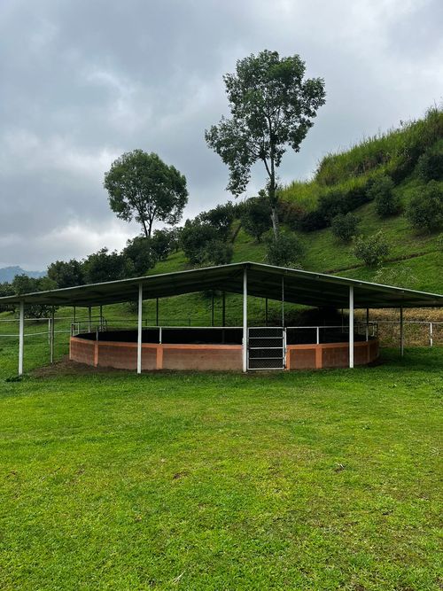 Finca en venta en La Florida, Pereira, 350 m² · foto 9 de 18