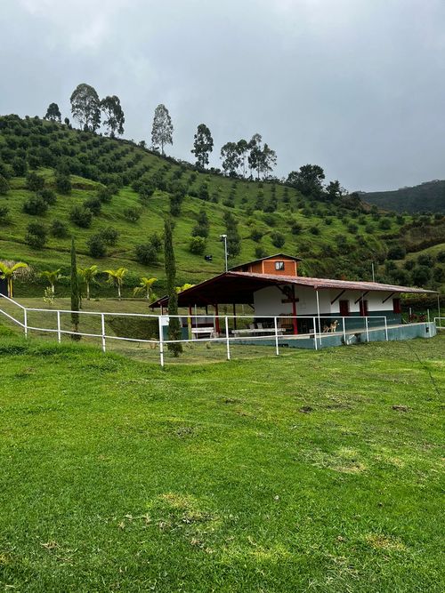 Finca en venta en La Florida, Pereira, 350 m² · foto 12 de 18