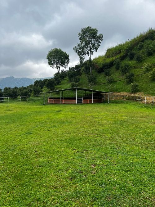 Finca en venta en La Florida, Pereira, 350 m² · foto 14 de 18