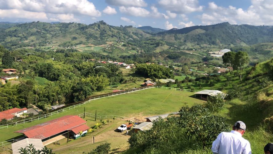 Finca en venta en La Florida, Pereira, 350 m² · foto 16 de 18