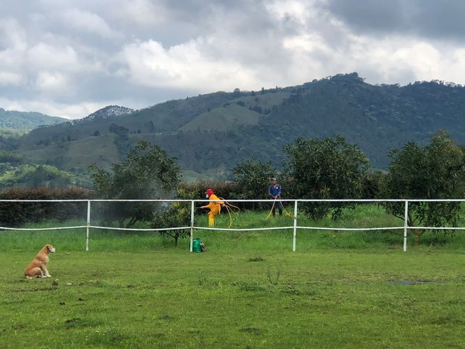 Finca en venta en La Florida, Pereira, 350 m² · foto 17 de 18