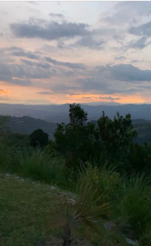 Finca en venta en La Cabaña, Manizales, 9000 m² · foto 3 de 7