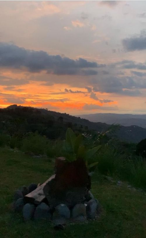 Finca en venta en La Cabaña, Manizales, 9000 m² · foto 4 de 7