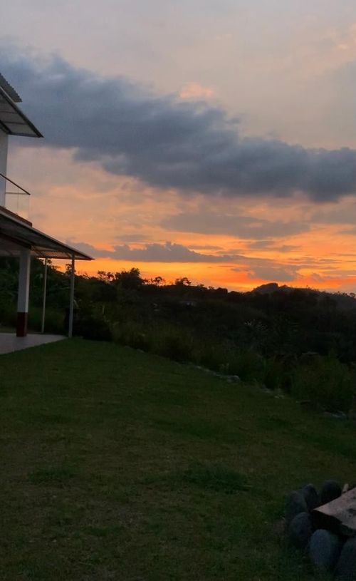 Finca en venta en La Cabaña, Manizales, 9000 m² · foto 5 de 7
