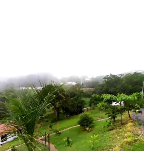 Finca en venta en La Cabaña, Manizales, 9000 m² · foto 7 de 7