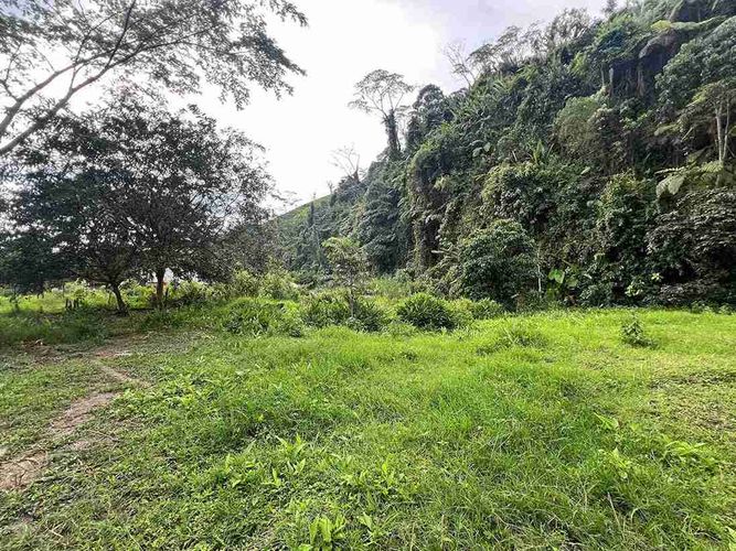 Lote en venta en La Florida, Pereira, 580 m² · foto 2 de 9