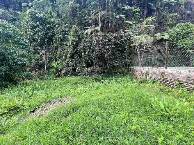 Lote en venta en La Florida, Pereira, 580 m² · foto 4 de 9