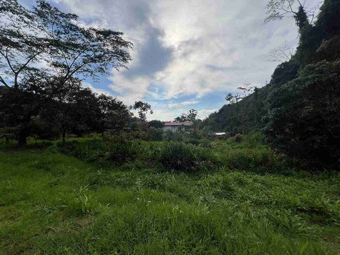 Lote en venta en La Florida, Pereira, 580 m² · foto 6 de 9