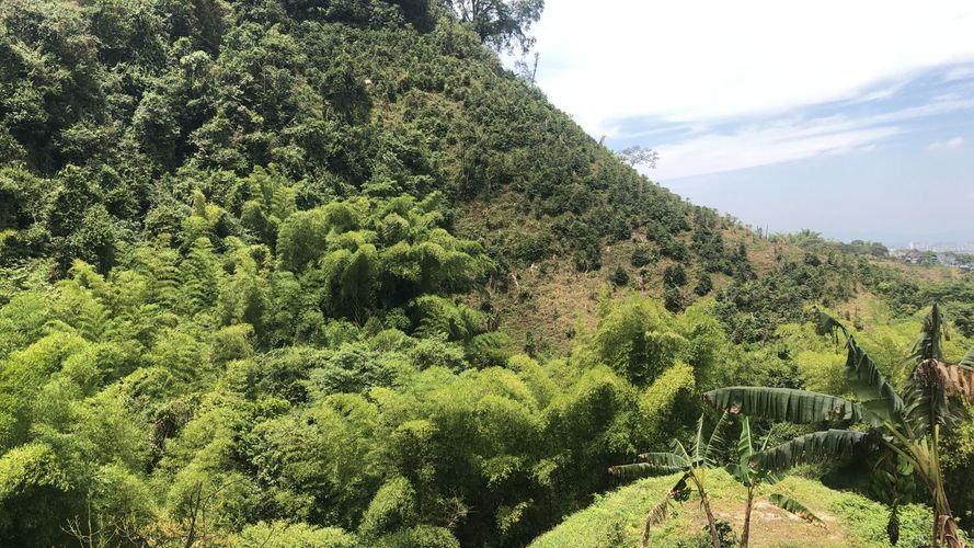 Lote en venta en Campestre A, Dosquebradas, 200 m² · foto 2 de 13