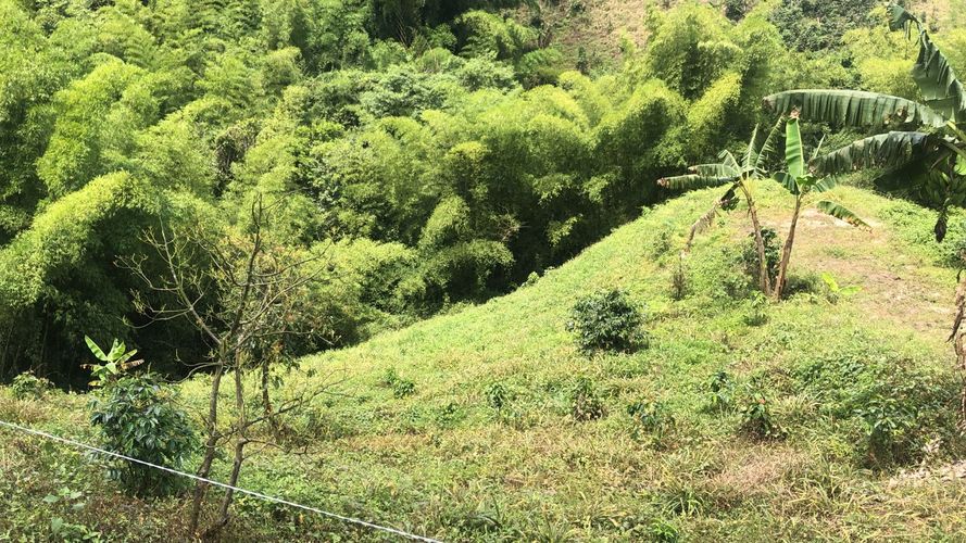 Lote en venta en Campestre A, Dosquebradas, 200 m² · foto 4 de 13