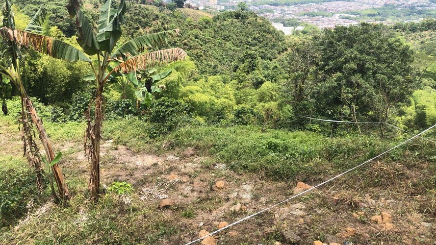 Lote en venta en Campestre A, Dosquebradas, 200 m² · foto 6 de 13