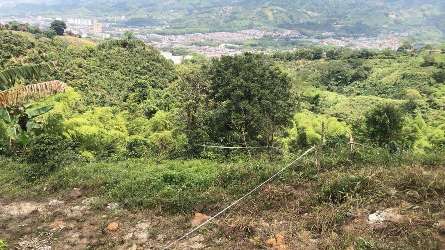 Lote en venta en Campestre A, Dosquebradas, 200 m² · foto 9 de 13