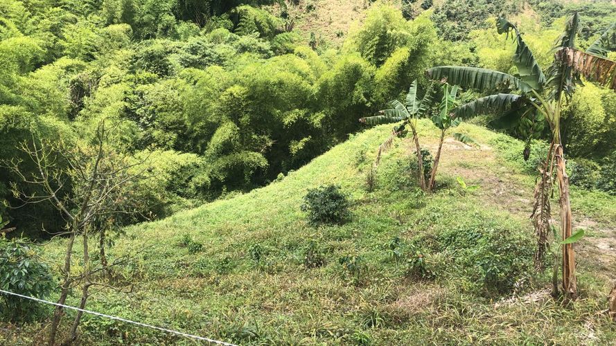 Lote en venta en Campestre A, Dosquebradas, 200 m² · foto 11 de 13