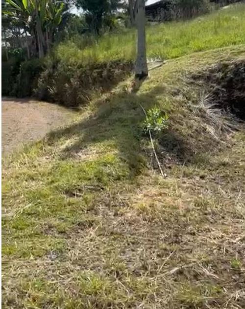 Lote en venta en Condina, Pereira · foto 2 de 17