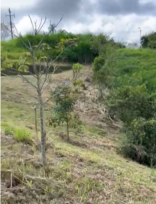 Lote en venta en Condina, Pereira · foto 10 de 17