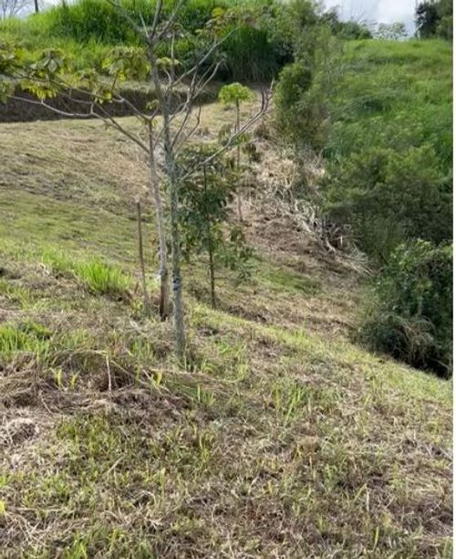 Lote en venta en Condina, Pereira · foto 11 de 17