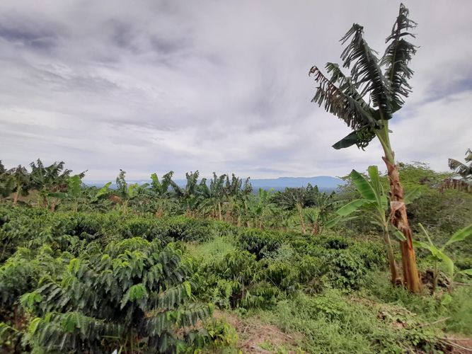 Lote en venta en Arabia, Pereira · foto 20 de 23