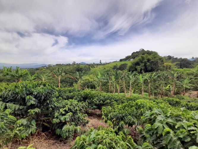 Lote en venta en Arabia, Pereira · foto 22 de 23