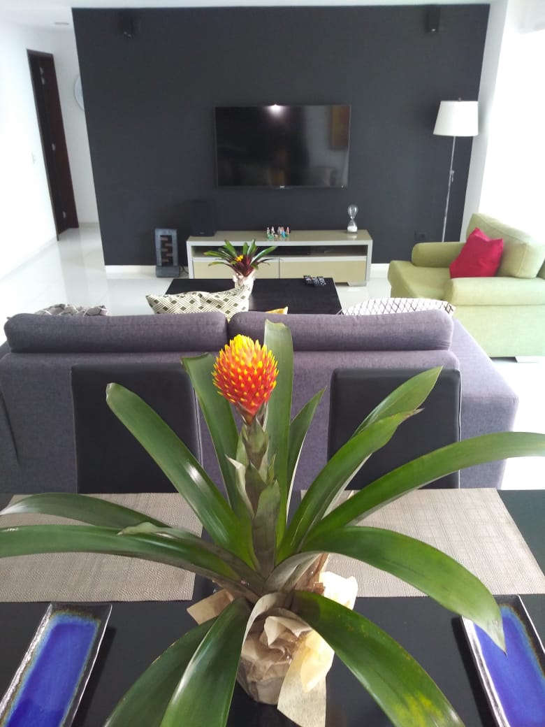 Apartamento en venta en Los Alpes, Pereira · foto 3 de 11