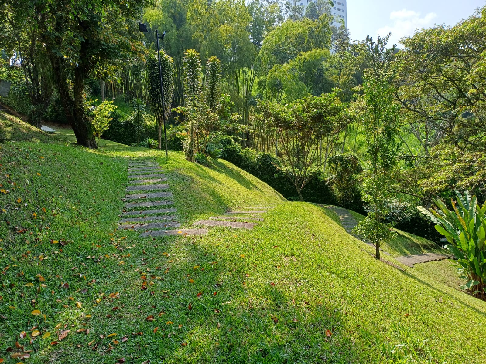 Apartamento en venta en Bosques De La Salle, Pereira · foto 11 de 14