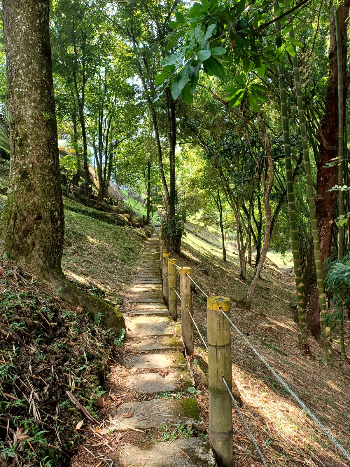 Apartamento en venta en Bosques De La Salle, Pereira · foto 12 de 14