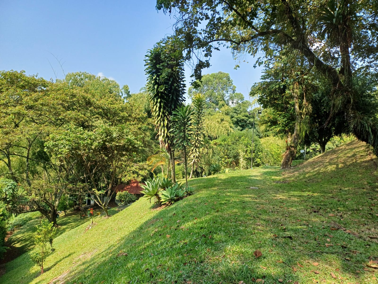 Apartamento en venta en Bosques De La Salle, Pereira · foto 13 de 14
