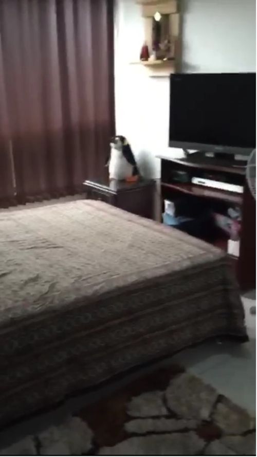 Casa de 5 alcobas en venta en La Paz, Manizales, 140 m² · foto 2 de 20