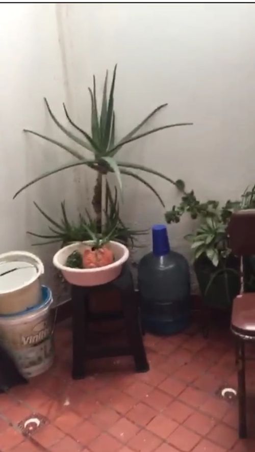 Casa de 5 alcobas en venta en La Paz, Manizales, 140 m² · foto 20 de 20