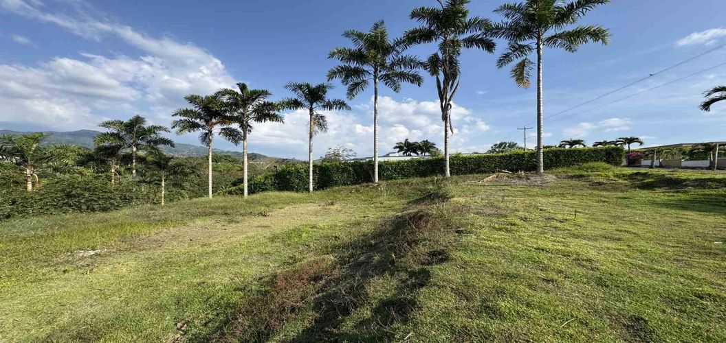 Lote en venta en Combia, Pereira, 2000 m² · foto 4 de 17