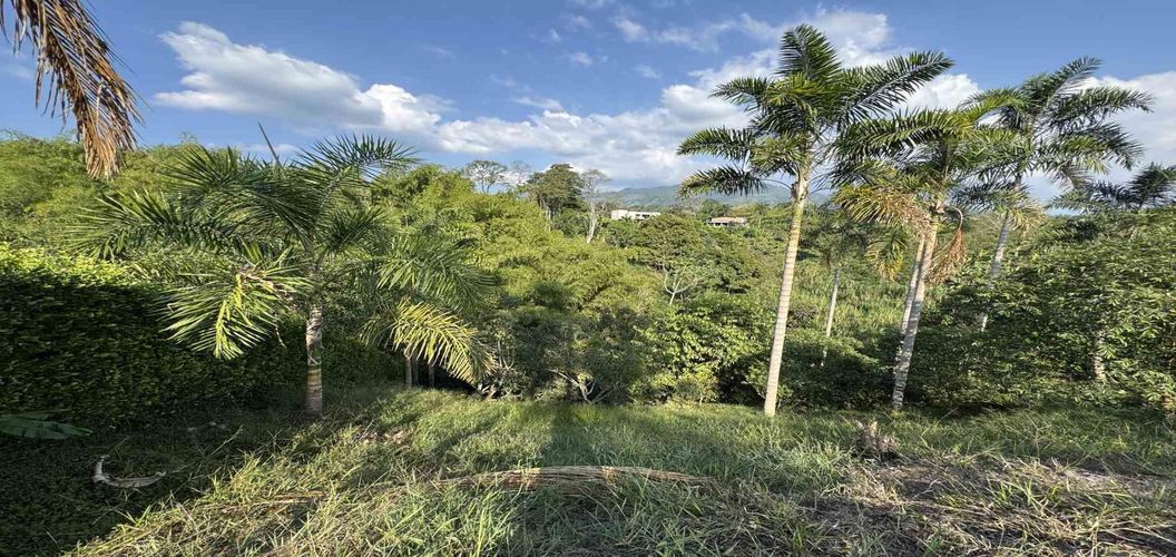 Lote en venta en Combia, Pereira, 2000 m² · foto 5 de 17